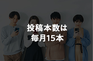 投稿本数は毎月15本